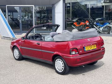 Rover 100